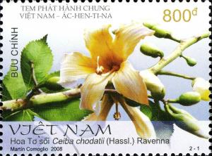 Colnect-610-253-Floss-silk-flower---Ceiba-chodatii-Hassl-Ravenna.jpg