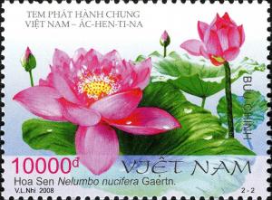 Colnect-610-254-Lotus-flower---Nelumbo-nucifera-Gaertn.jpg