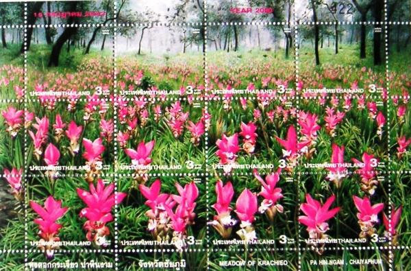 Colnect-949-613-Flowers---complete-sheet-III.jpg