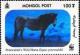Colnect-1290-137-Przewalski%E2%80%99s-Horse-Equus-przewalskii.jpg