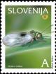Colnect-705-814-Fruits-in-Slovenia---Pear-Psylla-Cacopsylla-pyricola.jpg