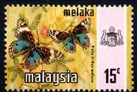 Skap-malaysia_60_bfly.jpg-crop-194x130at405-135.jpg