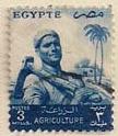 ARC-egypt15aa.jpg-crop-108x124at394-490.jpg
