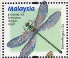 Skap-malaysia_16_dfly.jpg-crop-143x121at62-57.jpg
