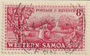 ARC-samoa05.jpg-crop-175x110at406-373.jpg