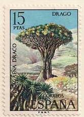 ARC-spain102.jpg-crop-165x229at638-298.jpg