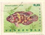 ARC-venezuela47.jpg-crop-183x143at109-908.jpg