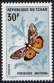 Skap-chad_03_moths_159-62.jpg-crop-177x271at186-4.jpg