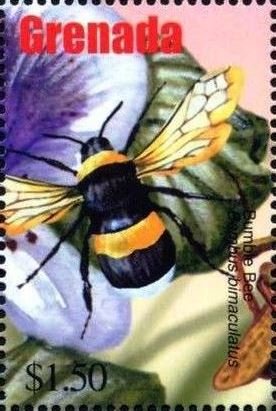 Colnect-4592-805-Bumblebee.jpg