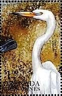 Colnect-4213-530-Great-egret.jpg
