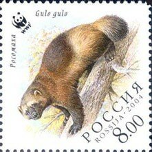 Colnect-5492-323-Wolverine.jpg