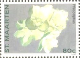 Colnect-2624-312-Philadelphus.jpg