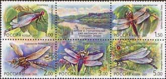 Colnect-190-904-Dragonflies.jpg