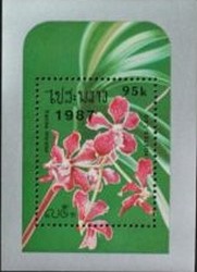 Colnect-628-692-Orchid.jpg