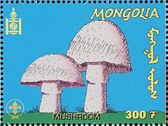Colnect-1292-080-Mushrooms.jpg