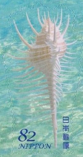Colnect-4184-384-Sea-Snail.jpg