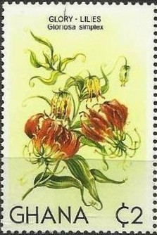 Colnect-2228-118-Glory-Lilies.jpg