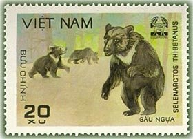 Colnect-1160-413-Asiatic-Black-Bear-Ursus-thibetanus.jpg