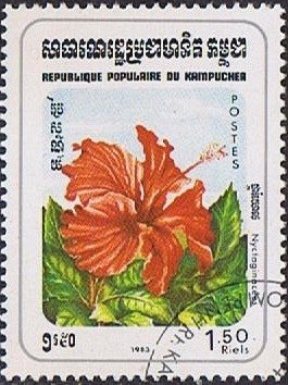 Colnect-1230-466-Miracle-Flower-Plants.jpg