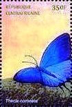 Colnect-4742-217-Crowned-Hairstreak-Thecla-coronata.jpg