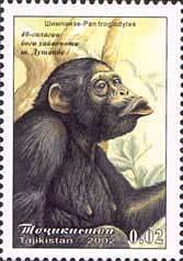 Colnect-1103-115-Chimpanzee-Pan-troglodytes.jpg
