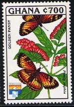 Colnect-2170-914-Golden-Pansy-Junonia-chorimene-.jpg