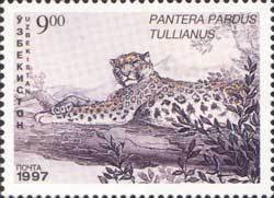 Colnect-806-514-Anatolian-Leopard-Panthera-pardus-tullianus.jpg