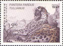 Colnect-806-515-Anatolian-Leopard-Panthera-pardus-tullianus.jpg