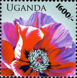 Colnect-1716-589-Flora-Flowers---General.jpg