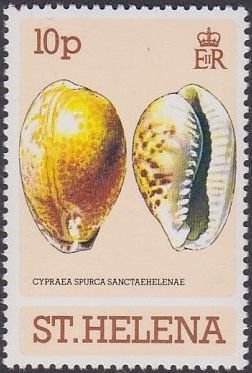 Colnect-4093-791-Cypraea-spurca-sanctahelenae.jpg