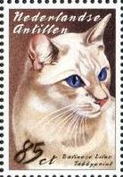 Colnect-966-880-Lilac-Tabbypoint-Balinese-Felis-silvestris-catus.jpg
