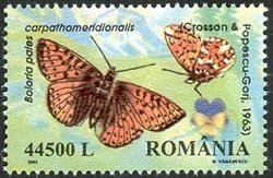 Colnect-758-097-Shepherd-s-Fritillary-Boloria-pales-ssp-carpathomeridional.jpg