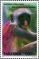 Colnect-1692-633-Zansibar-Red-Colobus-Piliocolobus-kirkii-.jpg