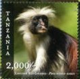 Colnect-3056-850-Zanzibar-Red-Colobus-Procolobus-kirkii.jpg