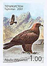 Colnect-1103-166-Golden-Eagle-Aquila-chrysaetos.jpg