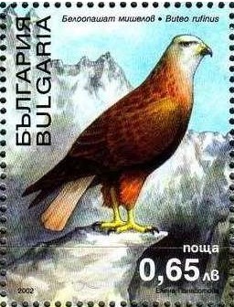 Colnect-1823-859-Long-legged-Buzzard-Buteo-rufinus.jpg