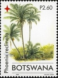 Colnect-1424-354-Palm-Trees---Phoenix-reclinata.jpg