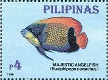 Colnect-3001-734-Majestic-Angelfish-Pomacanthus-navarchus.jpg