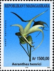 Colnect-1458-396-Aeranthes-henrici.jpg