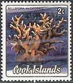 Colnect-2235-744-Sea-Ginger-Millepora-alcicornis.jpg
