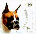 Colnect-330-821-German-Boxer-Canis-lupus-familiaris.jpg