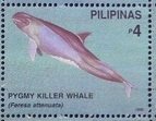 Colnect-4946-465-Pygmy-Killer-Whale-Feresa-attenuata.jpg