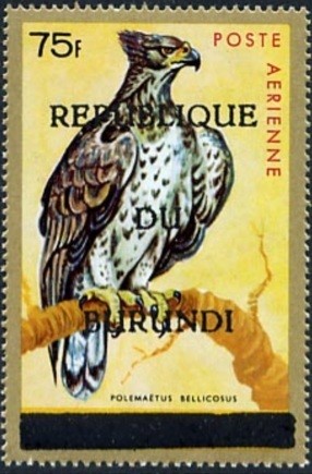 Colnect-1430-595-Martial-Eagle-Polema-euml-tus-bellicosus.jpg