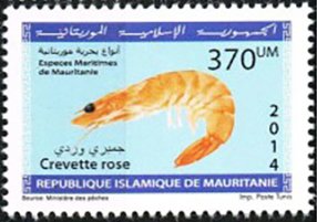 Colnect-4660-504-Marine-Life-Of-Mauritania-Series-II.jpg