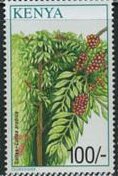 Colnect-6271-684-Coffee-Coffea-Arabica.jpg