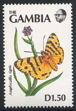 Colnect-2105-821-Butterfly-Amphicallia-tigris.jpg
