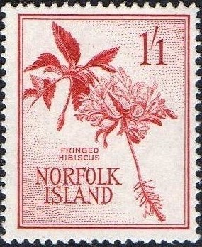 Colnect-1159-209-Fringed-Hibiscus.jpg