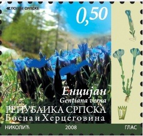 Colnect-1308-091-Spring-Gentian-Gentiana-verna.jpg