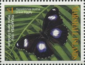 Colnect-1003-174-Great-Eggfly-Hypolimnas-bolina.jpg