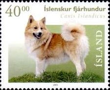 Colnect-423-050-Iceland-Dog-Canis-lupus-familiaris.jpg